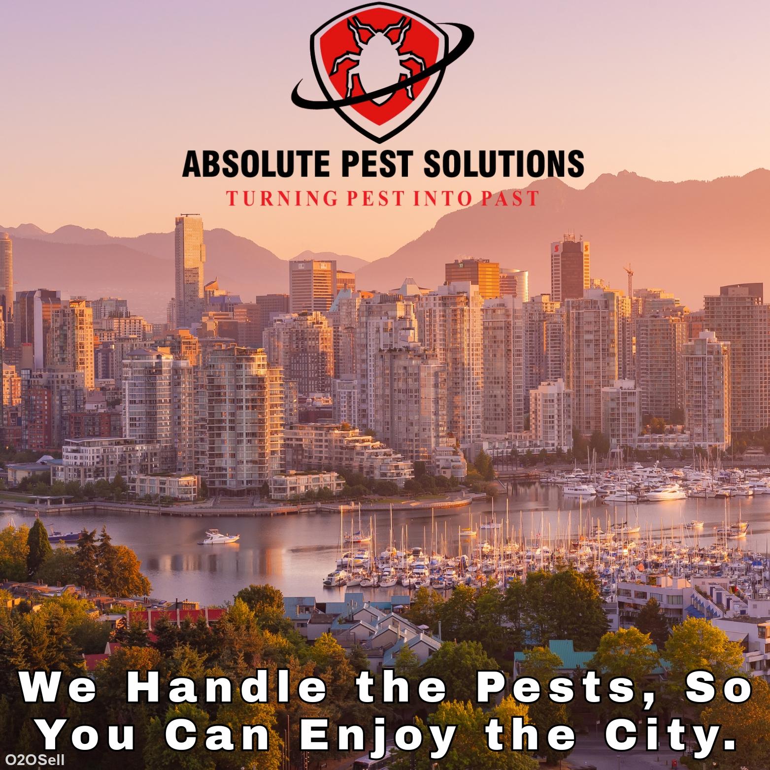 Absolute Pest Solutions - Cover Image